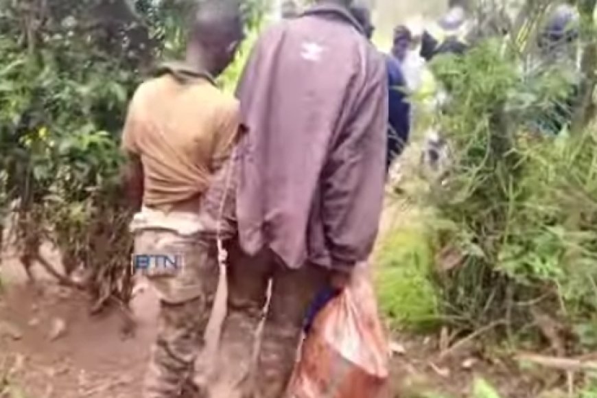 Gasabo: Abana babiri baravugwaho kwiba imbwa bakanagurisha inyama zazo