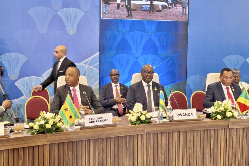 Rwanda Says Cooperation with Russia Is Yielding Tangible Results