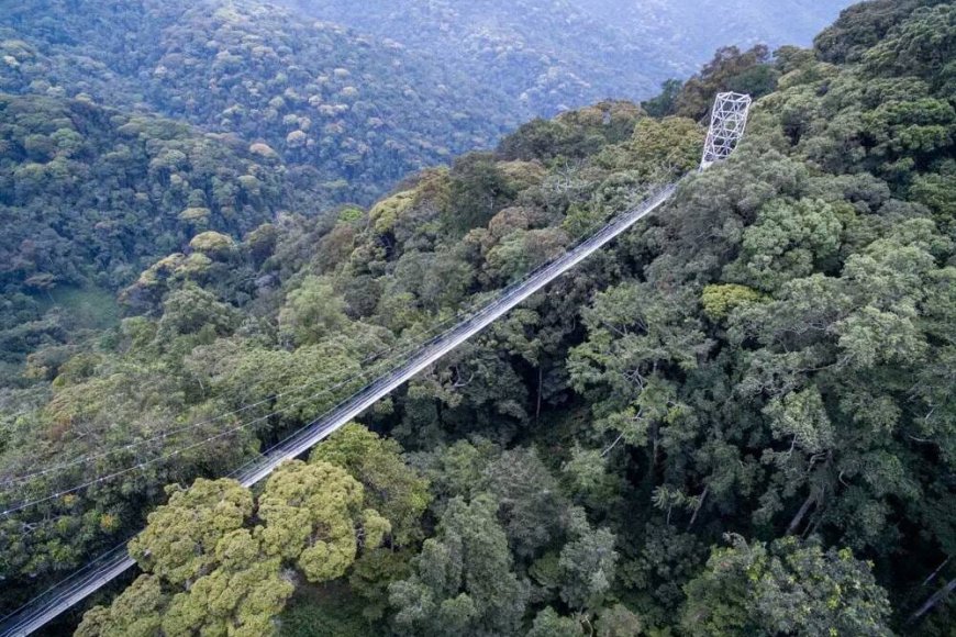 Abaturiye Pariki y’Igihugu ya Nyungwe bagiye guhabwa miliyari 1,2 Frw