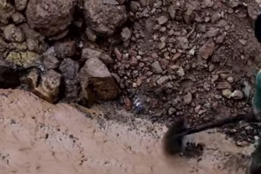 Rulindo: Abacukura Zahabu barashinjwa kwangiza imyaka y'abaturage