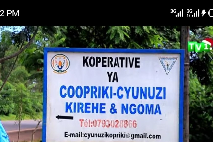 Kirehe: Abahinzi b'umuceri barataka igihombo baterwa no kutagira ubwanikiro