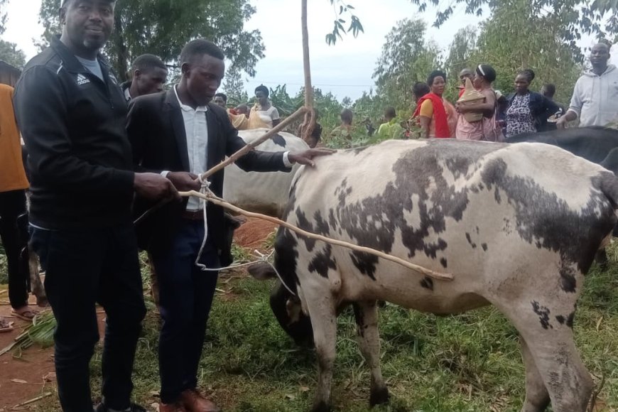 Ngoma: Imbamutima z'abahawe  inka muri Girinka bashimira Perezida Paul Kagame