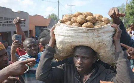 Gicumbi: Yafatanwe ibirayi yibye ku munsi wo kurasa umwaka