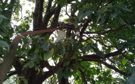 Huye: Umuturage arashinja REG gutuma atisarurira avoka ze