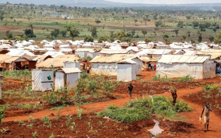 Tanzania ikomeje gusenya inzu z’impunzi z’Abarundi