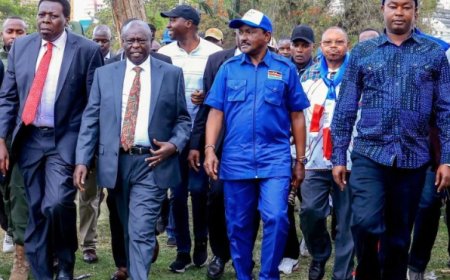 Infotrak Poll: Majority of Luhya Voters Lean Towards Opposition Ahead of 2027 Elections