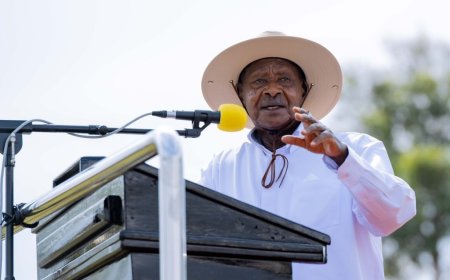 Uganda Heads to Polls as President Museveni Seeks Seventh Term