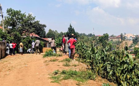 Kicukiro: Umwe yapfuye, abandi bajyanwa kwa muganga nyuma yo kurya ibyatsi bitiranyije na choux fleur