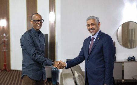 Perezida Paul Kagame yagiranye ibiganiro na perezida wa Banki Nyafurika Itsura Amajyambere