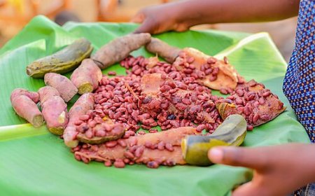 NISR Seasonal Agricultural Survey 2025 Highlights Expanded Agricultural Practices