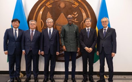 Perezida Kagame yakiriye abayobozi ba Kaminuza ya Yonsei baganira ku bufatanye mu burezi n’ubushakashatsi
