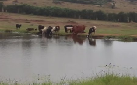 Gatsibo: Bahangayikishijwe n' icyuzi gikomeje guhitana ubuzima bw'abatari bake