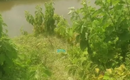 Nyagatare: Umurambo w'umunyeshuri wasanzwe mu gishanga