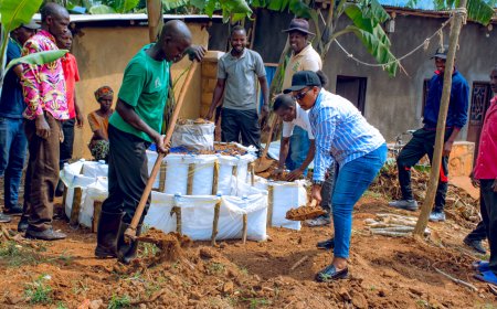 Ngoma: Hatangijwe ubukangurambaga bwo guhinga umurima w'igikoni