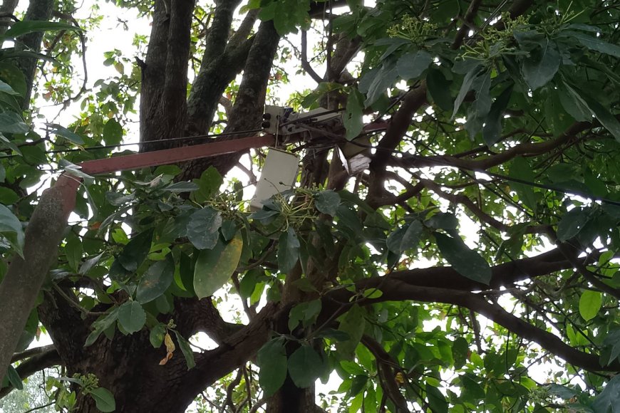 Huye: Umuturage arashinja REG gutuma atisarurira avoka ze