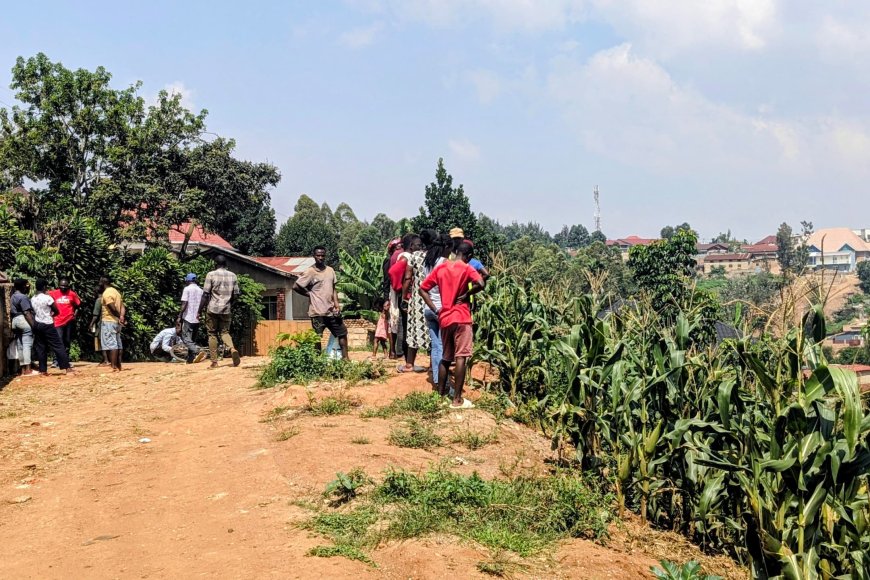 Kicukiro: Umwe yapfuye, abandi bajyanwa kwa muganga nyuma yo kurya ibyatsi bitiranyije na choux fleur