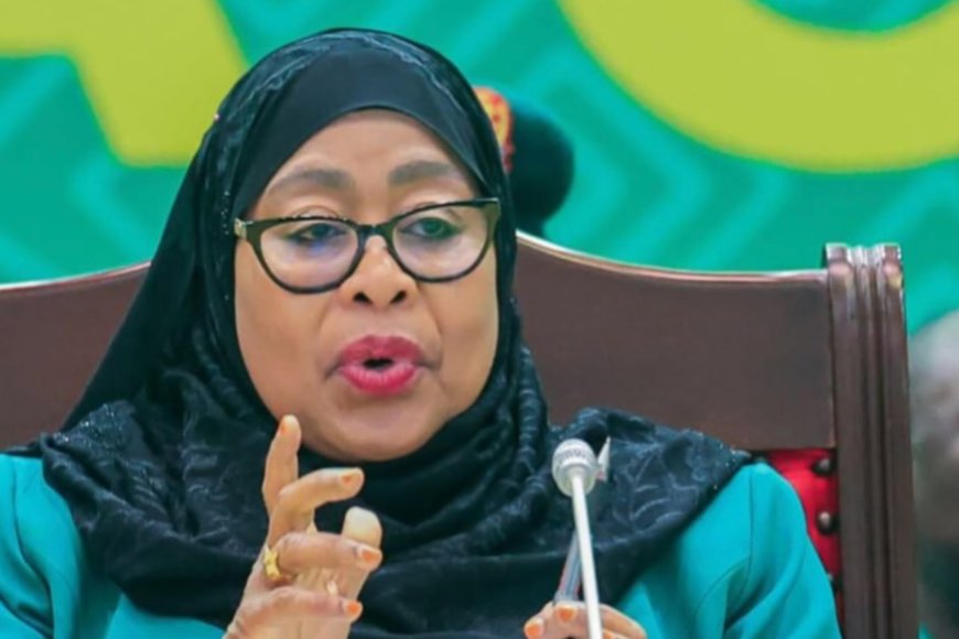 Tanzania: Perezida Samia Suluhu yaburiye Minisitiri mushya ushinzwe Itangazamakuru n'umwungirije