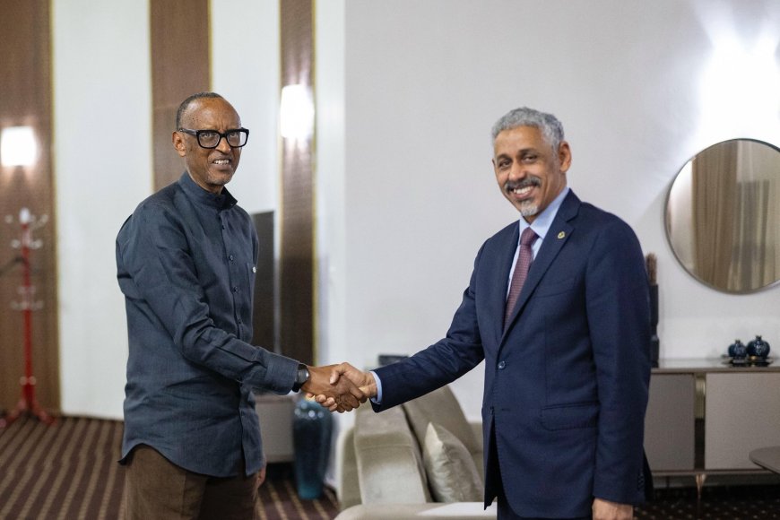 Perezida Paul Kagame yagiranye ibiganiro na perezida wa Banki Nyafurika Itsura Amajyambere