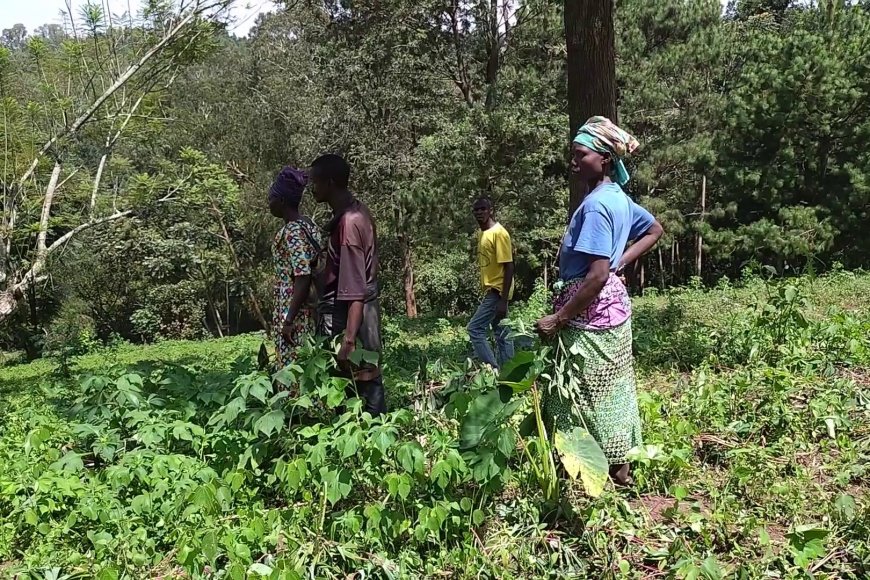 UR Huye: Kaminuza y’u Rwanda yasobanuye impamvu yaranduye imyaka y’abaturage