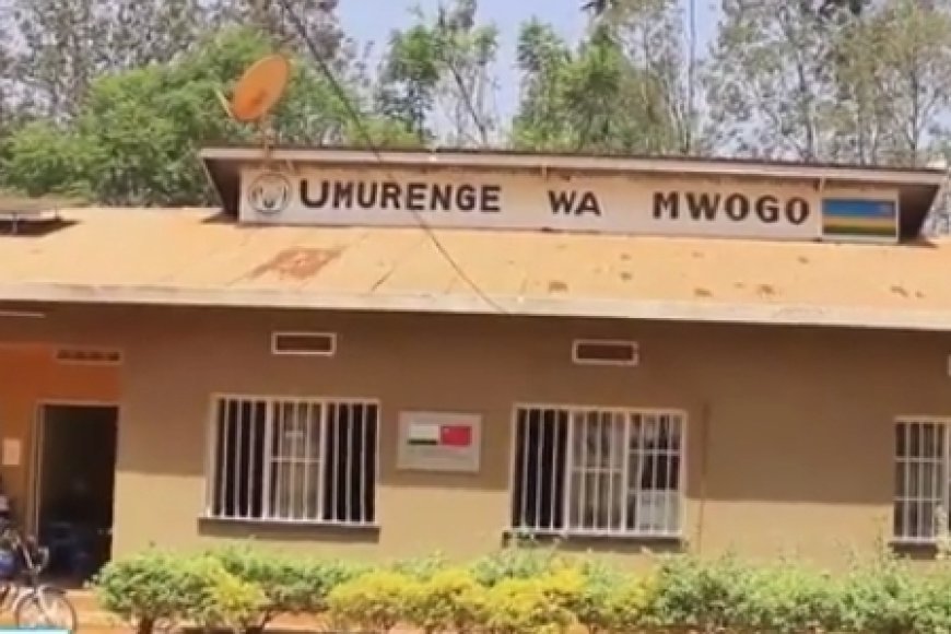 Bugesera: Bahangayikishijwe n'abana bata ishuri bakajya kurinda umuceri mu gishanga