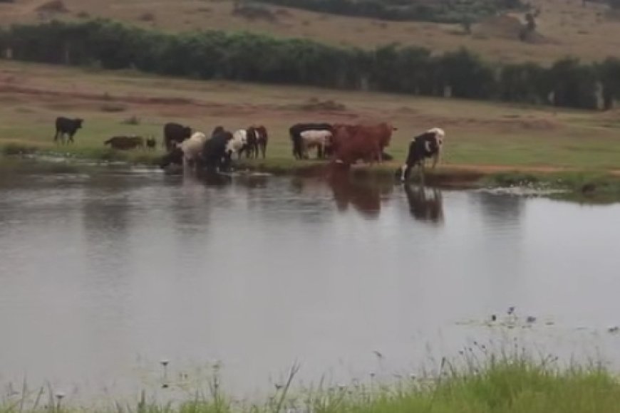 Gatsibo: Bahangayikishijwe n' icyuzi gikomeje guhitana ubuzima bw'abatari bake