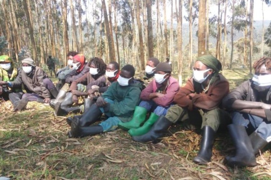 RED Tabara yahakanye ko ikorana n'u Rwanda na M23