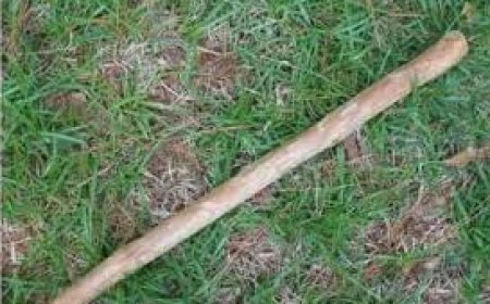 Gicumbi: Umugabo yishe umugore we amukubise umuhini w’isekuru