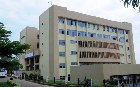 UR Huye: Ikigo cy’Ubuhanzi n’Umuco kigiye kongera gukora nyuma y’imyaka 13 gihagaze