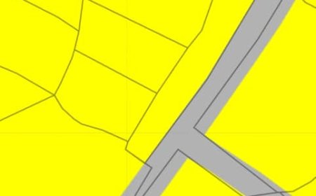 Rwamagana: Barifuza ko serivisi z'ubutaka zizagarukwaho mu Nama y'Igihugu y'Umushyikirano