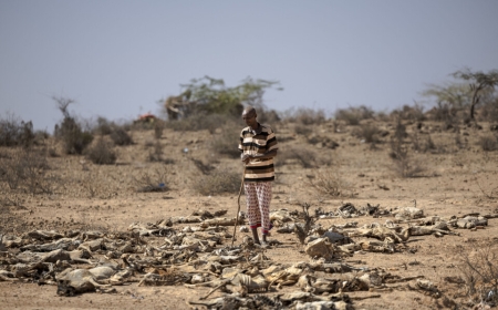 Kenya: OMS yatangaje ko amapfa yugarije uturere 10