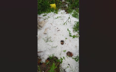 Rusizi: Imvura yangije hegitari zisaga 13 z’imyaka y’abaturage