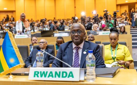 Minister Nduhungirehe attends 48th AU executive council meeting ahead of heads of state summit