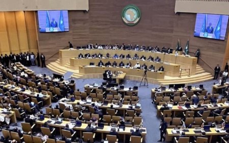 Ubushinwa bwakuyeho  umusoro   ku bicuruzwa byorezwa bivuye   muri Afurika