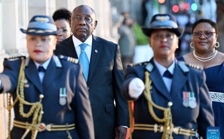 BOSA yanenze icyemezo cya Ramaphosa cyo kohereza ingabo mu guhangana n’imitwe yitwaje intwaro