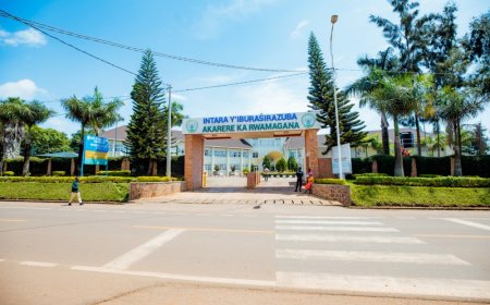 Rwamagana: Umuyobozi w’ishuri afunzwe akekwaho gusarura ishyamba rya Leta