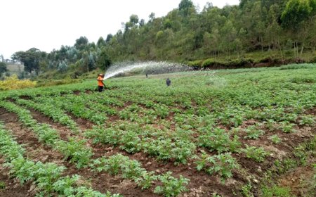 Nyaruguru: Barasaba ubuyobozi gukemura ikibazo cy’ihenda ry’imbuto n’inyongeramusaruro