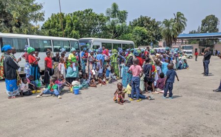 Rwanda receives 208 nationals freed from FDLR captivity in DR Congo