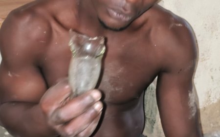 Rubavu: Afungiwe gukomeretsa umugore we amukubise icupa