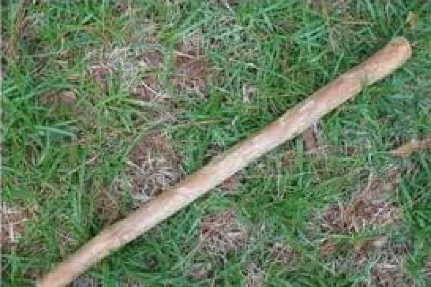 Gicumbi: Umugabo yishe umugore we amukubise umuhini w’isekuru