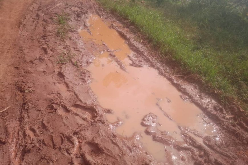 Rwamagana: Umuhanda wangiritse ubangamiye abawukoresha