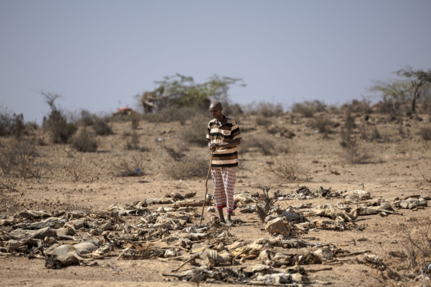 Kenya: OMS yatangaje ko amapfa yugarije uturere 10