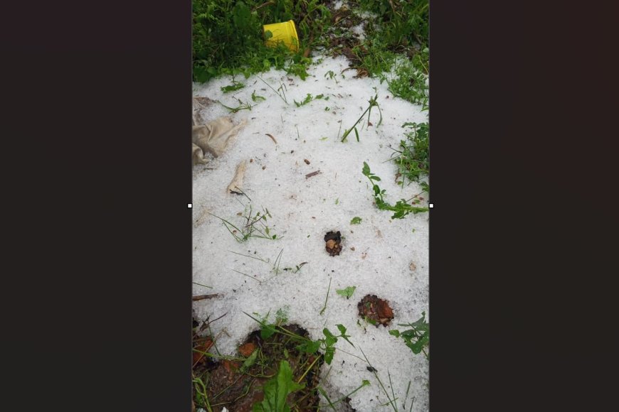 Rusizi: Imvura yangije hegitari zisaga 13 z’imyaka y’abaturage