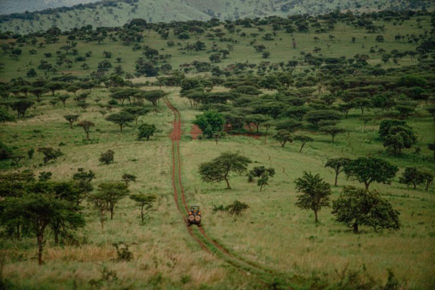 Pariki  y’Akagera yinjije asaga miliyari 7,2 Frw mu 2025