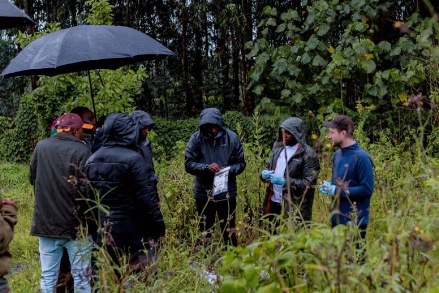 U Rwanda rwatangije ikoranabuhanga mu bushakashatsi ku binyabuzima biri muri Pariki y’Ibirunga