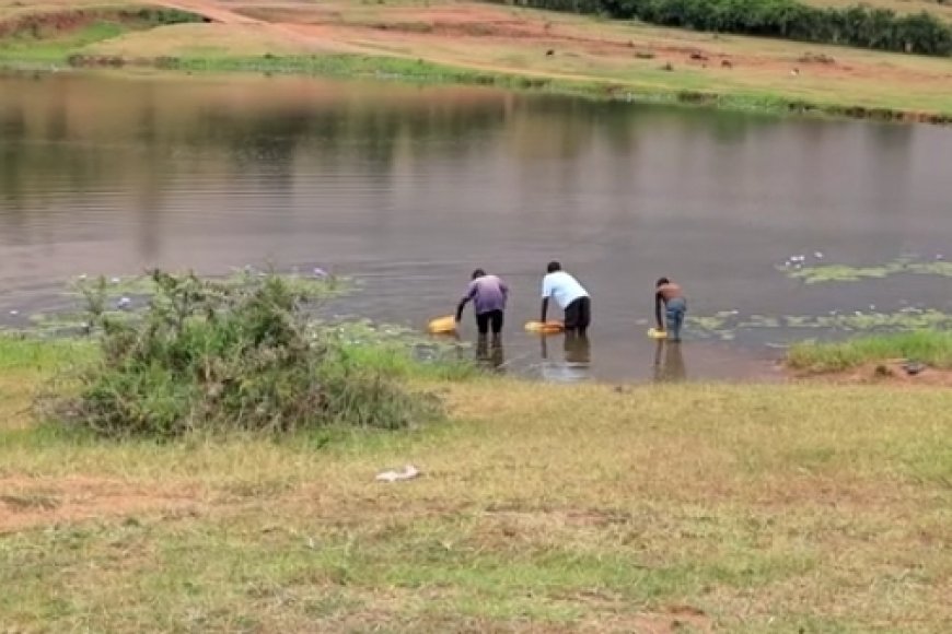 Gatsibo: Bahangayikishijwe no kunywa amazi ashokamo Inka