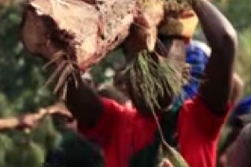 Karongi: Ubuyobozi bw'Ishuri ribanza buravugwaho kwikoreza abana ingiga z'ibiti