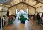South Sudan: 26 MSF medical workers still missing after attacks