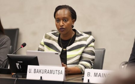 Amb. Urujeni Bakuramutsa: Eastern DRC insecurity persists for over three decades