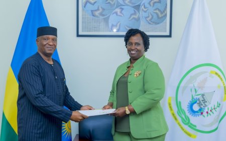 MINAFFET yashyikirijwe impapuro z’abadipolomate boherejwe n’ibihugu byabo kubihagararira nka ba Ambasaderi