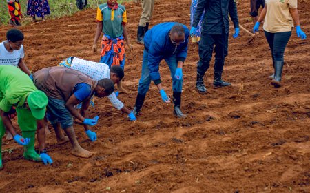 Ngoma: Abahinzi basabwe guhinga bakoresheje uburyo bwongera umusaruro